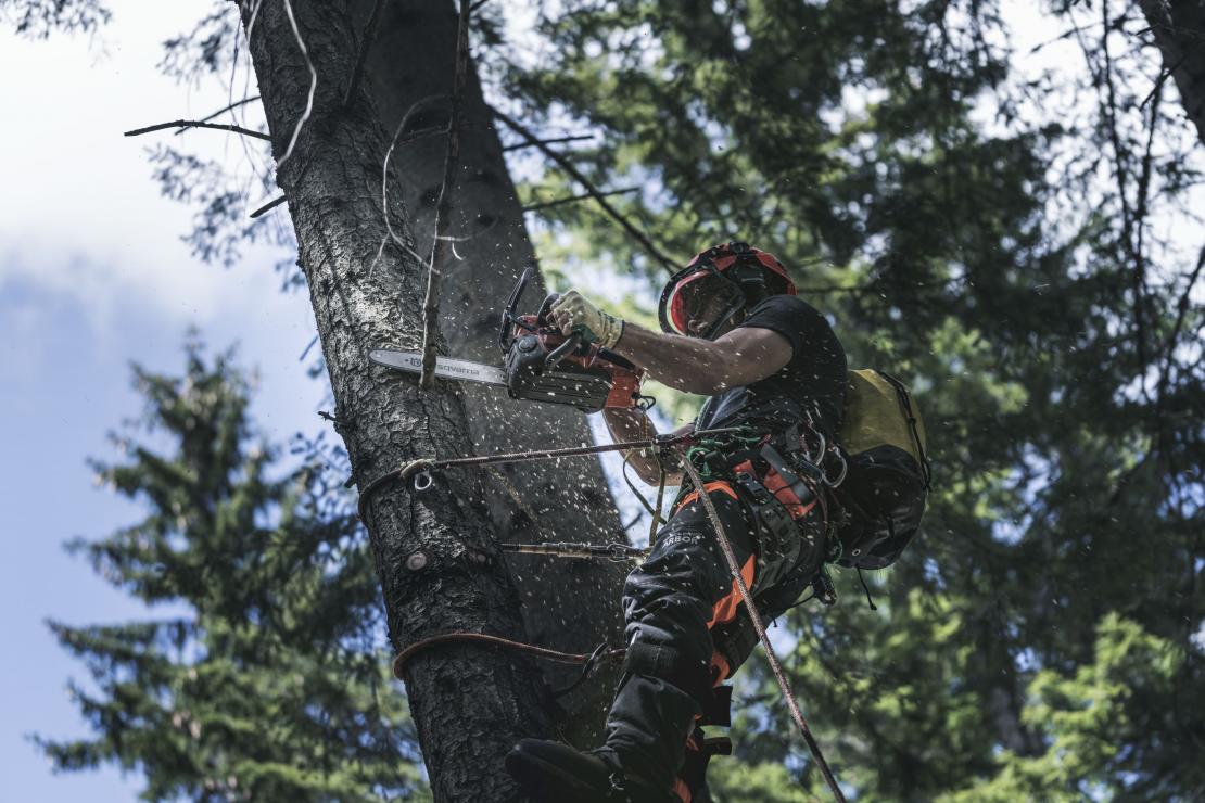 Husqvarna T540i XP Action