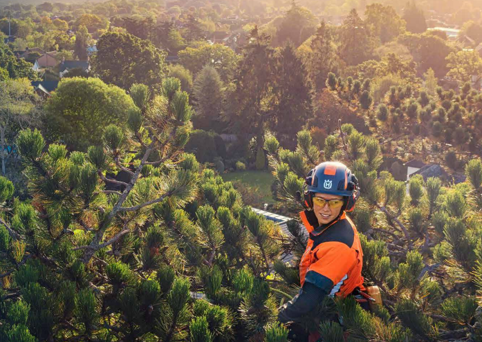 sustainovate report 2020